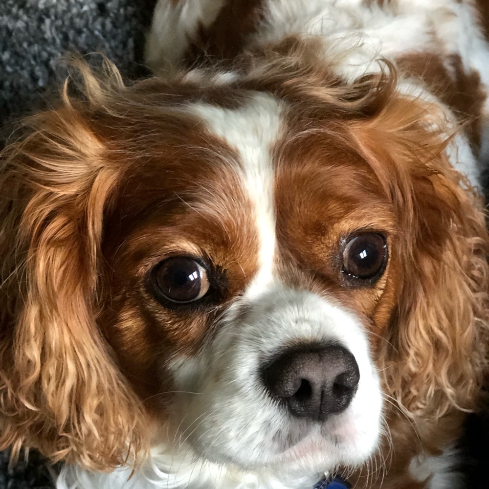 Meet your Posher, Jill